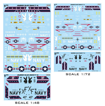 Aztec AZD48086 1:48 Grumman F-14 Tomcat "Black Bunny"