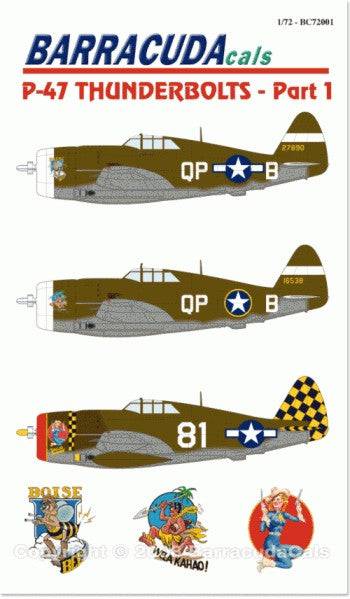 Barracuda Studios BC-72001 1:72 Republic P-47D Thunderbolt 'Razorback' Pt 1
