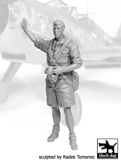 Blackdog BDF32071 1:32 Luftwaffe pilot Africa N deg 3