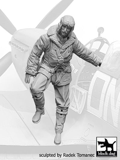 Blackdog BDF32078 1:32 RAF fighter pilot 1940-45 N No8 stepping down the wing