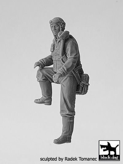 Blackdog BDF32135 1:32 USAAF Fighter pilot 1940-45 N deg 1 figures