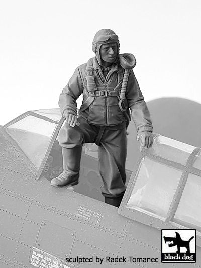 Blackdog BDF32135 1:32 USAAF Fighter pilot 1940-45 N deg 1 figures
