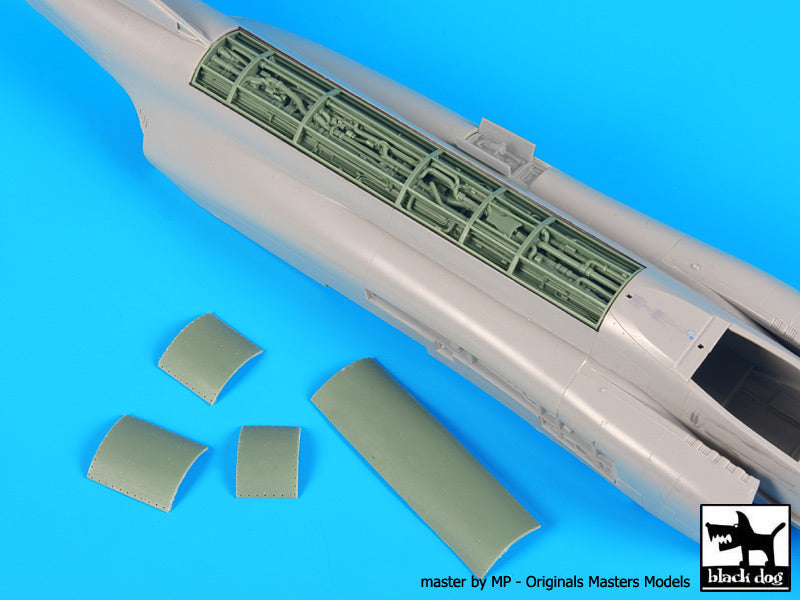 Blackdog BDOA48088 1:48 McDonnell F-4J Phantom spine electronics