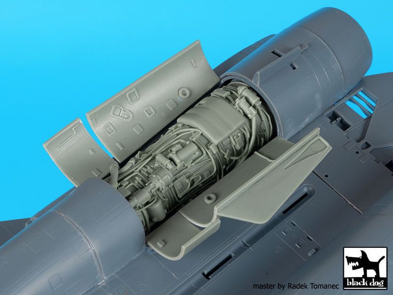 Blackdog BDOA48098 1:48 Grumman F-14D Tomcat engine
