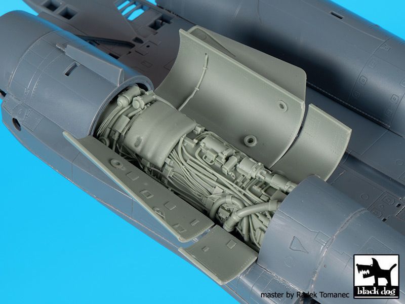 Blackdog BDOA48098 1:48 Grumman F-14D Tomcat engine