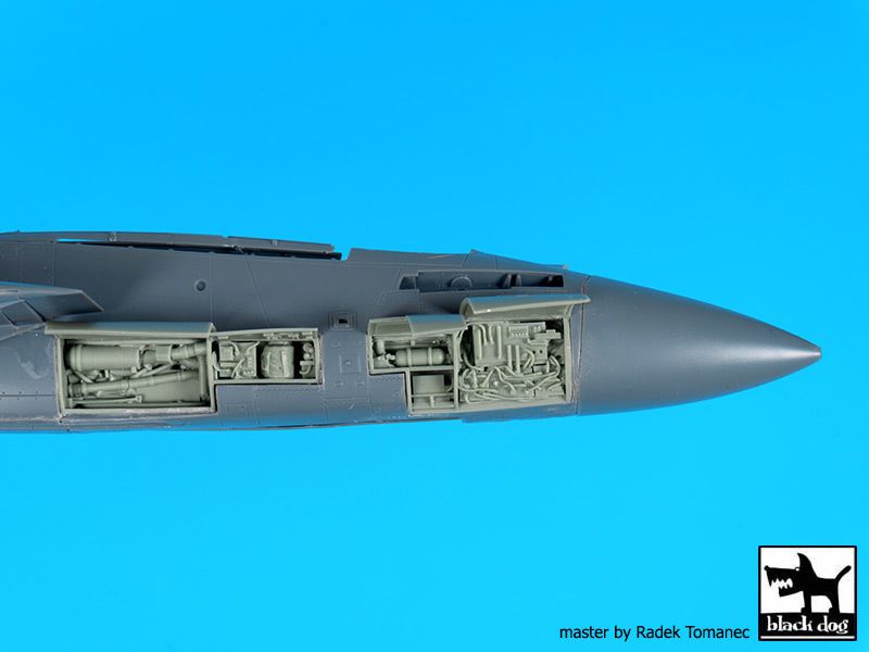 Blackdog BDOA48099 1:48 Grumman F-14D Tomcat right electronic