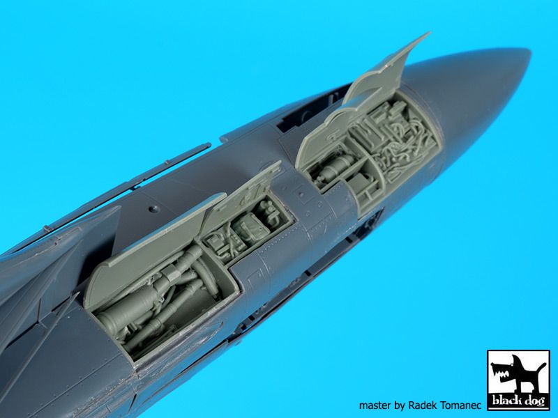 Blackdog BDOA48102 1:48 Grumman F-14D Tomcat right and left electronics