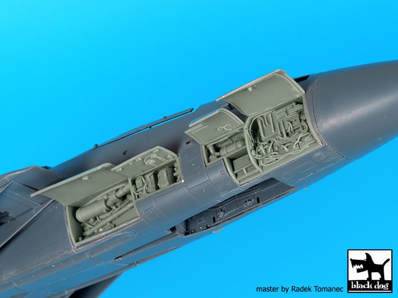 Blackdog BDOA48103 1:48 Grumman F-14D Tomcat big set