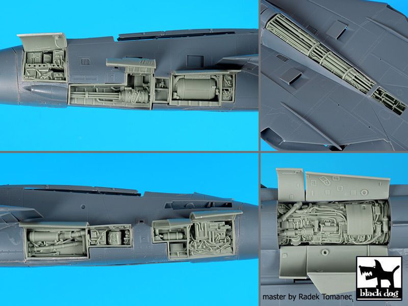 Blackdog BDOA48103 1:48 Grumman F-14D Tomcat big set