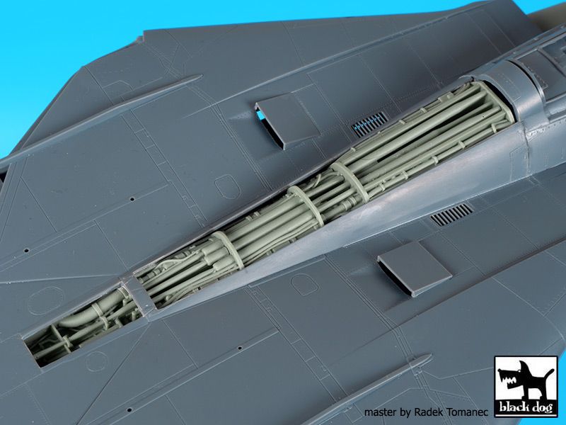 Blackdog BDOA48103 1:48 Grumman F-14D Tomcat big set