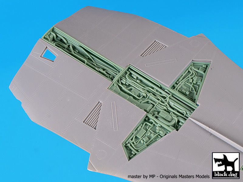 Blackdog BDOA48126 1:48 General-Dynamics F-111 Spine hydraulics