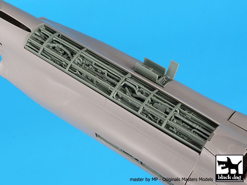 Blackdog BDOA48143 1:48 McDonnell F-4B Phantom Spine
