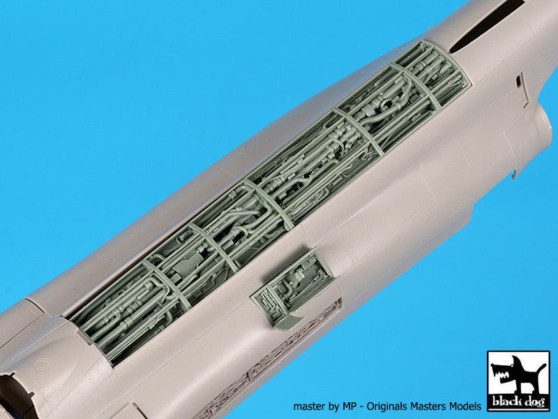 Blackdog BDOA48143 1:48 McDonnell F-4B Phantom Spine