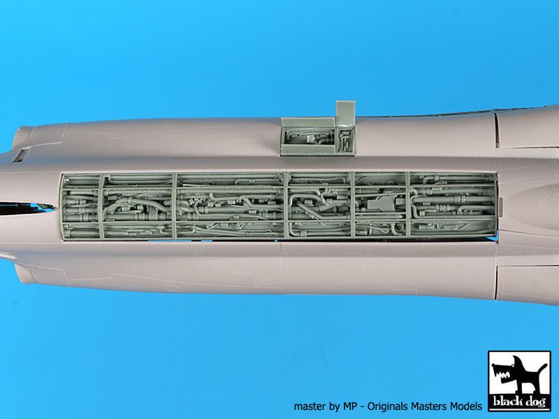 Blackdog BDOA48143 1:48 McDonnell F-4B Phantom Spine