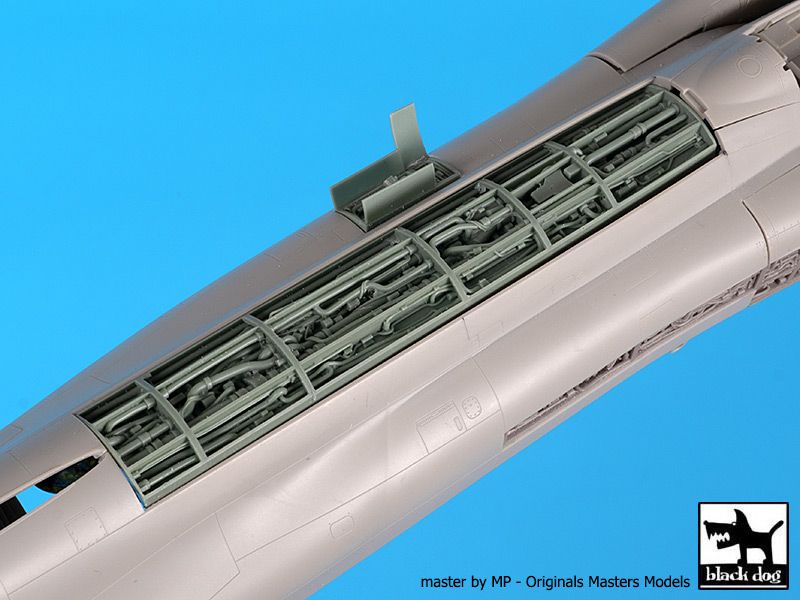 Blackdog BDOA48143 1:48 McDonnell F-4B Phantom Spine