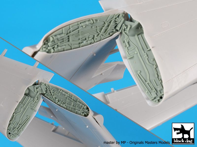 Blackdog BDOA48176 1:48 Grumman E-2C Hawkeye folding wings
