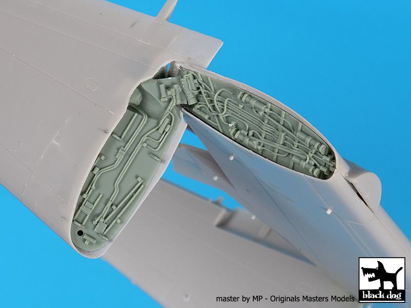 Blackdog BDOA48176 1:48 Grumman E-2C Hawkeye folding wings