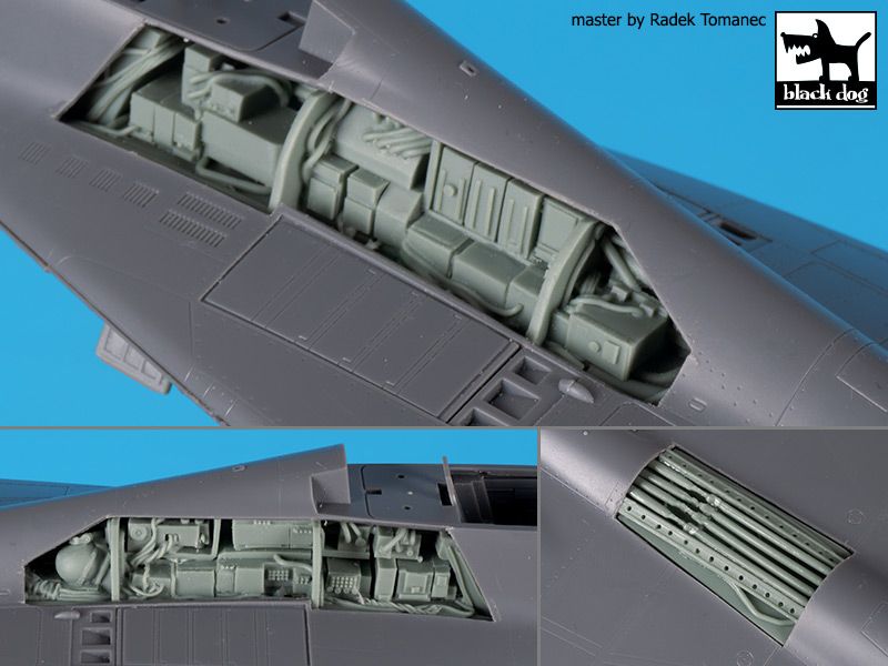 Blackdog BDOA48179 1:48 Mikoyan MiG-29 9-12 electronics+spine