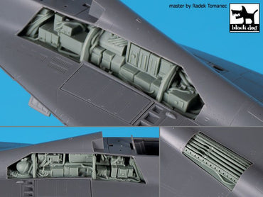 Blackdog BDOA48179 1:48 Mikoyan MiG-29 9-12 electronics+spine
