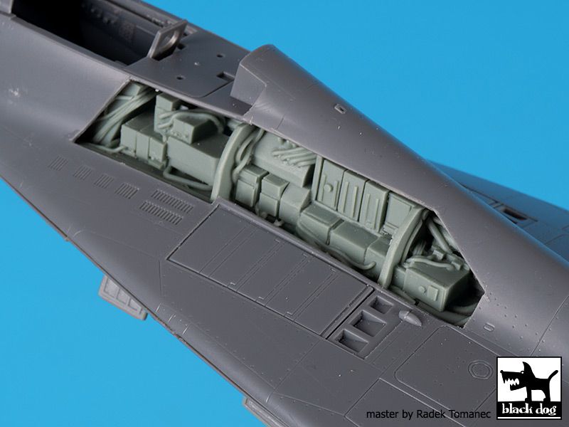 Blackdog BDOA48179 1:48 Mikoyan MiG-29 9-12 electronics+spine
