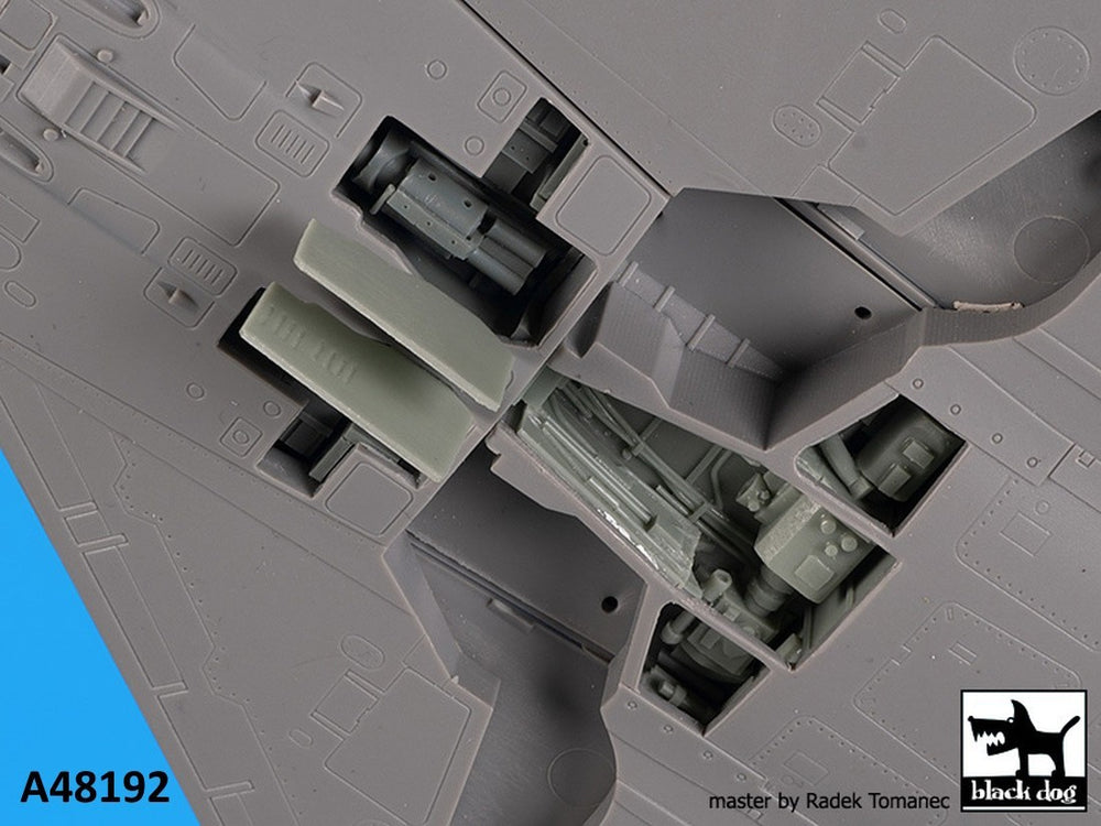 Blackdog BDOA48192 1:48 Dassault_Mirage 2000 cannons + radar