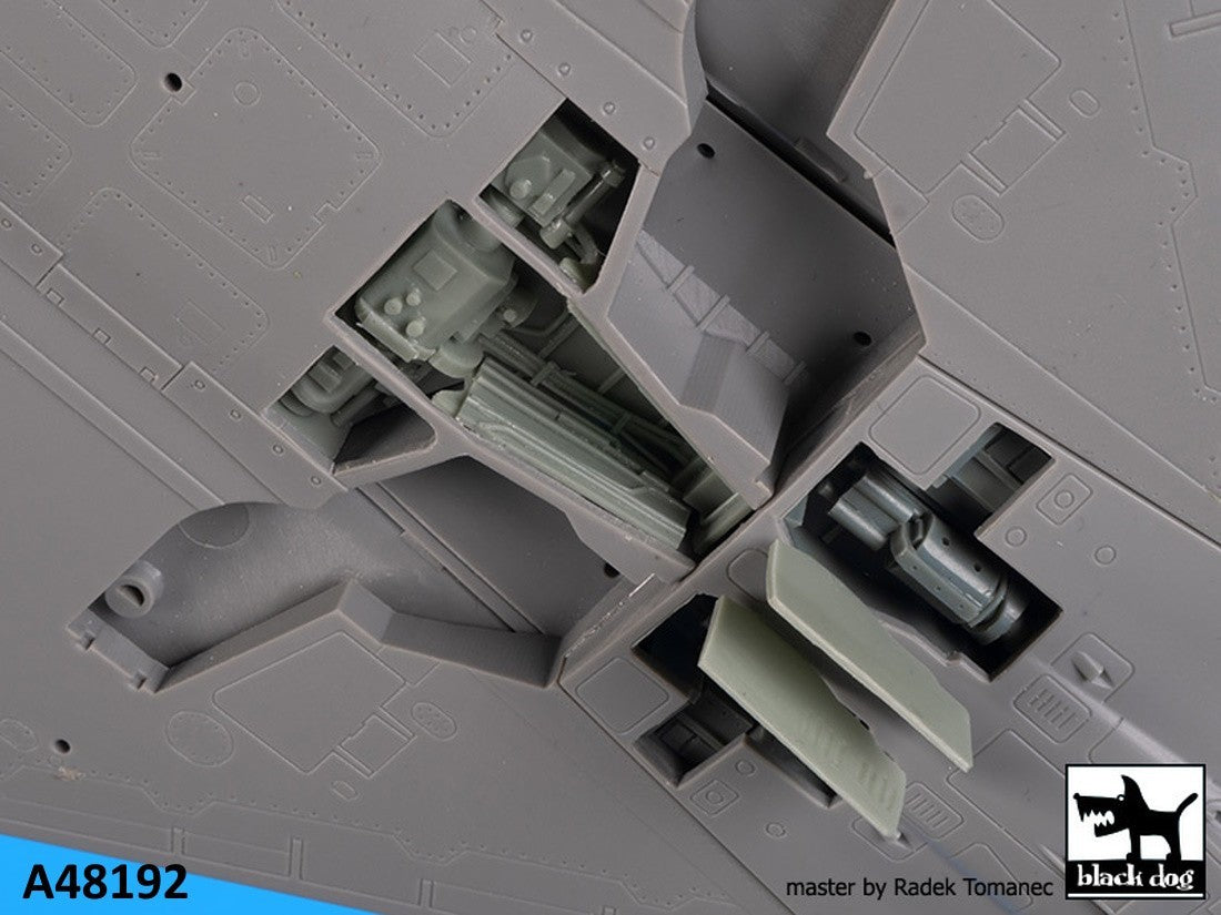 Blackdog BDOA48192 1:48 Dassault_Mirage 2000 cannons + radar