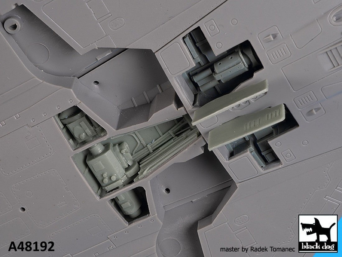 Blackdog BDOA48192 1:48 Dassault_Mirage 2000 cannons + radar