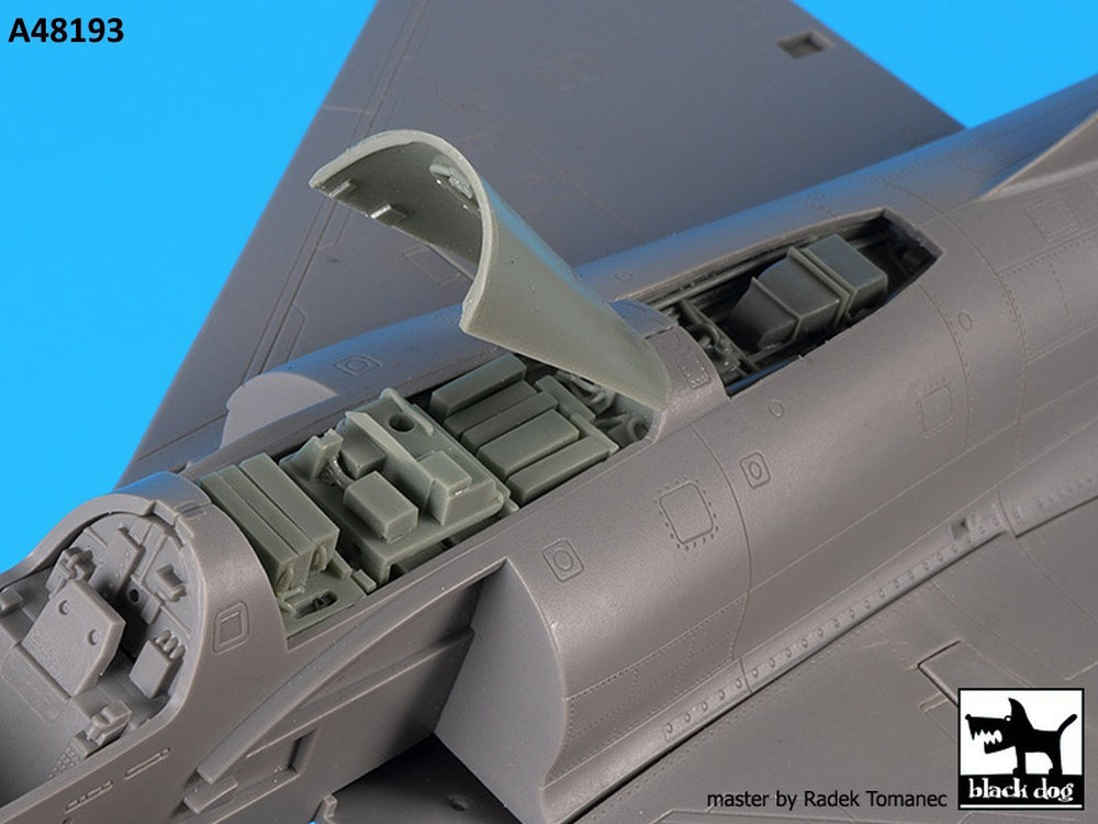 Blackdog BDOA48193 1:48 Dassault_Mirage 2000 electronic