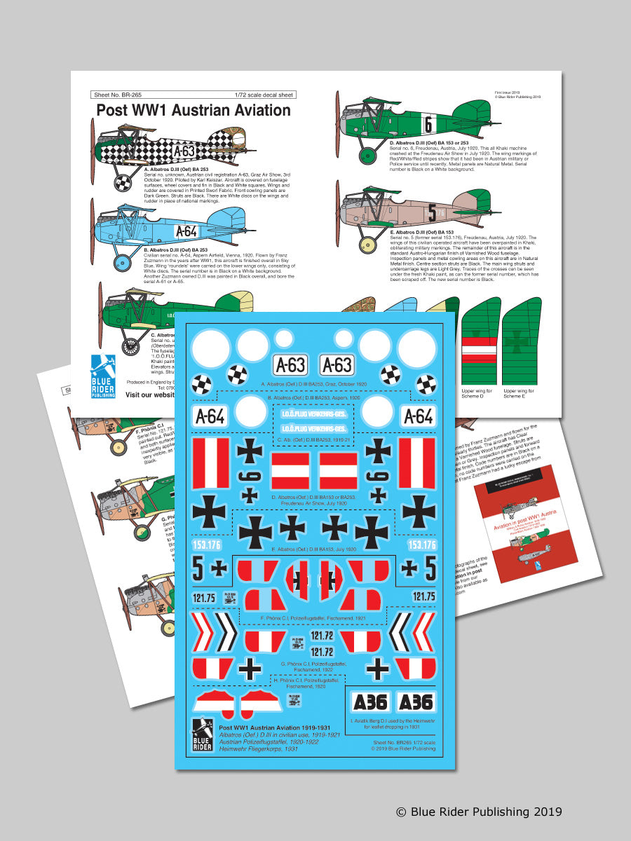 Blue Rider BR265 1:72 post WWI Austrian aviation