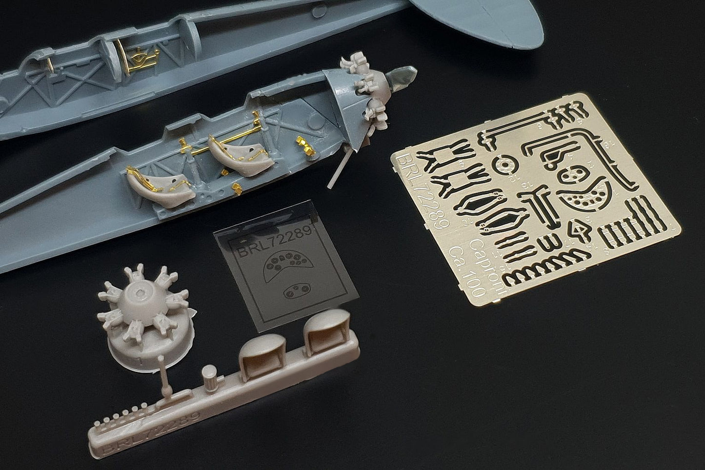 Brengun BRL72289 1:72 Caproni Ca.100 PE/resin set