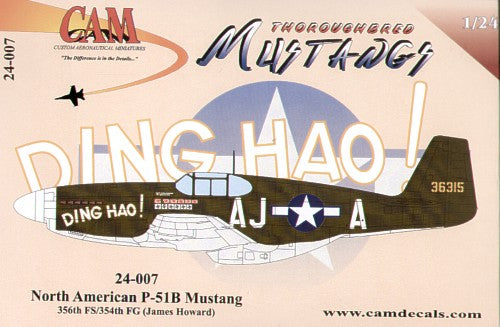 CAM CAM24007 1:24 North-American P-51B Mustang