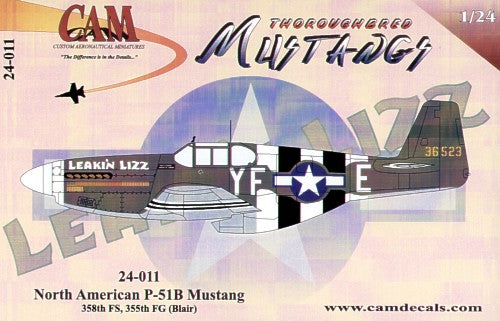 CAM CAM24011 1:24 North-American P-51B Mustang