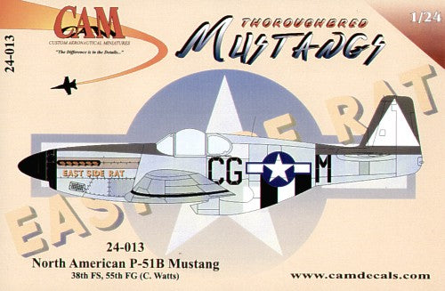 CAM CAM24013 1:24 North-American P-51B Mustang