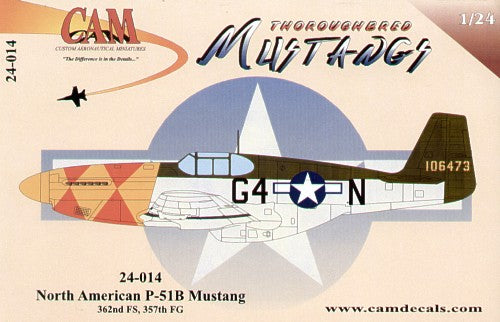 CAM CAM24014 1:24 North-American P-51B Mustang