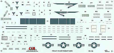 CAM CAM32116 1:32 Grumman F-14 Tomcat Low Visibility Data inc National Insignia