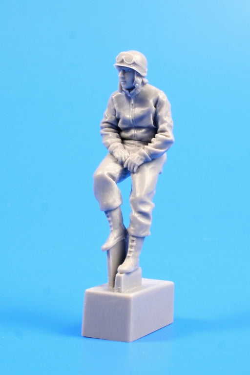 CMK/Czech Master Kits CMF35258 1:35 U.S