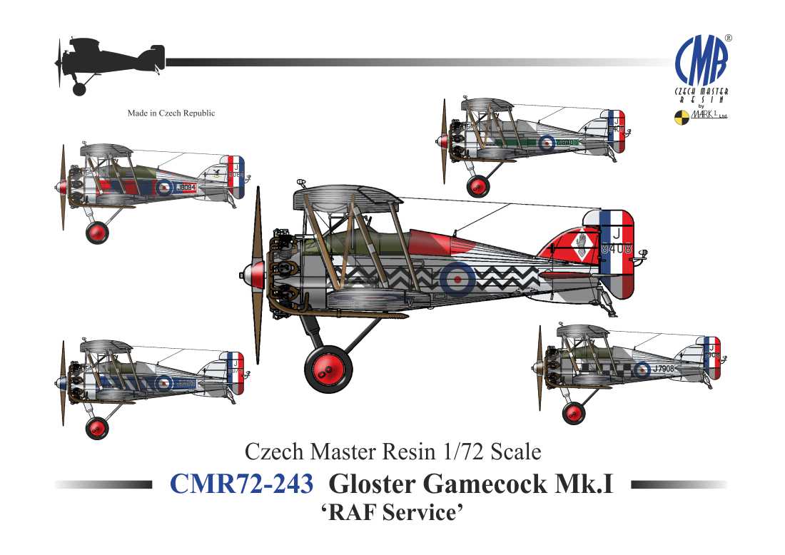 Czech Master Resin CMR72-243 1:72 Gloster Gamecock Mk.I 'RAF Service' includes