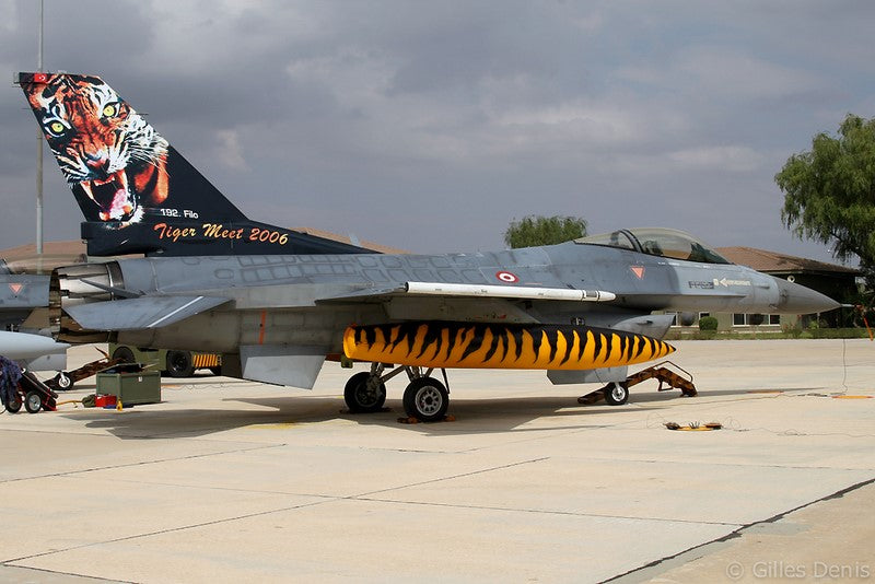 Babibi DBT-01001 1:72 F-16C NATO Tigermeet 2006 Special Tail