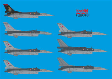 Babibi DBT-01014 1:48 F-16C NATO Tigermeet 2006 Special Tail