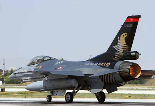 Babibi DBT-01014 1:48 F-16C NATO Tigermeet 2006 Special Tail