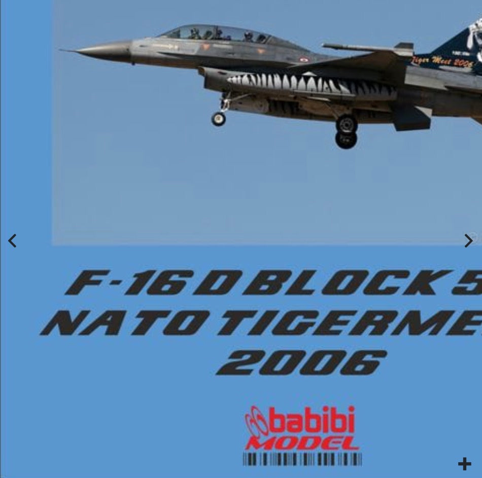 Babibi DBT-01015 1:48 F-16D NATO Tigermeet 2006 Special Tail