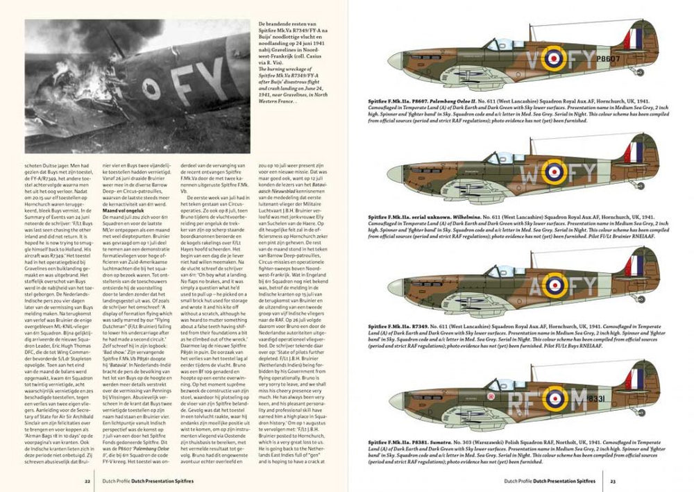 Dutch Profile DDP42 Dutch Presentation Spitfires