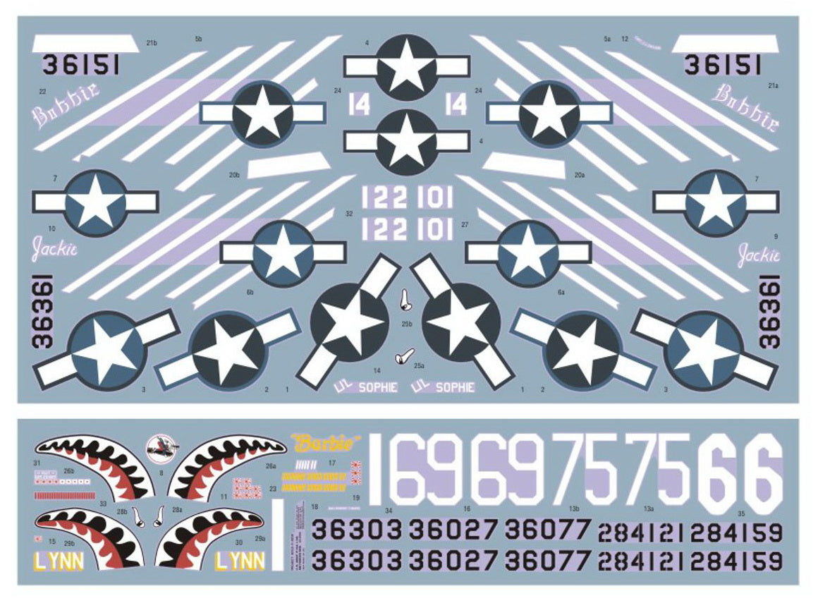 DK Decals DKD48040 1:48 North-American P-51A/A-36A over China, Burma and India 1
