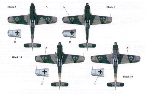Eagle Cal EAG48111 1:48 Focke-Wulf Fw-190D-9
