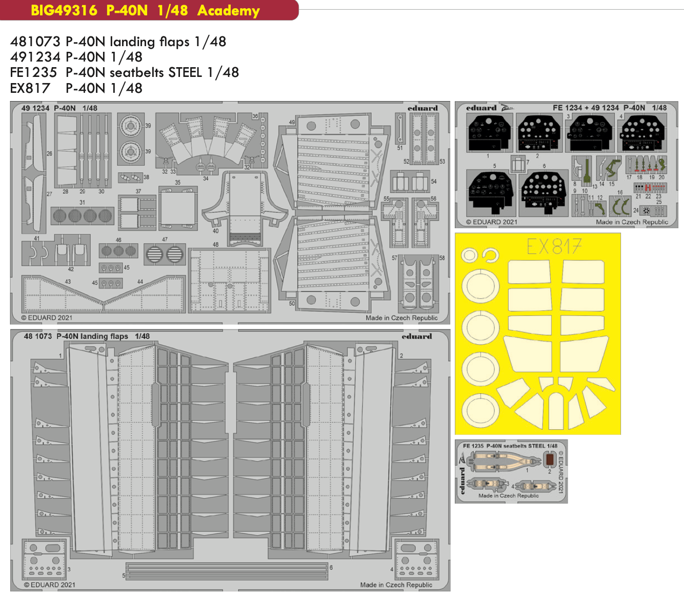 Eduard Big-Ed EBIG49316 1:48 Curtiss P-40N Warhawk