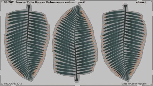 Eduard ED36207 1:35 Leaves Palm Howea Belmoreana colour