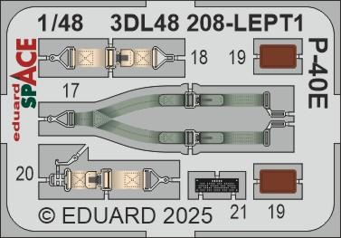 Eduard ED3DL48208 1:48 Curtiss P-40E SPACE
