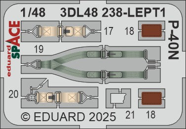 Eduard ED3DL48238 1:48 Curtiss P-40N Warhawk SPACE set