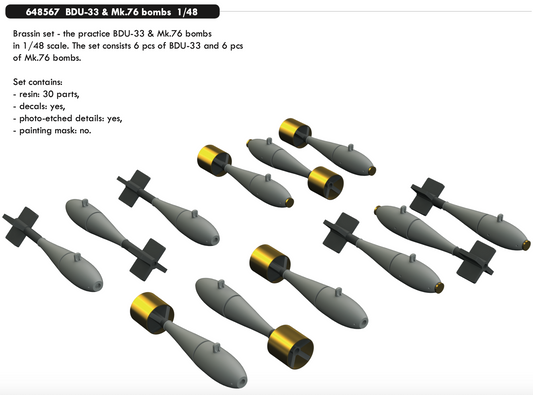 Eduard Brassin ED648567 1:48 BDU-33 & Mk.76 bombs