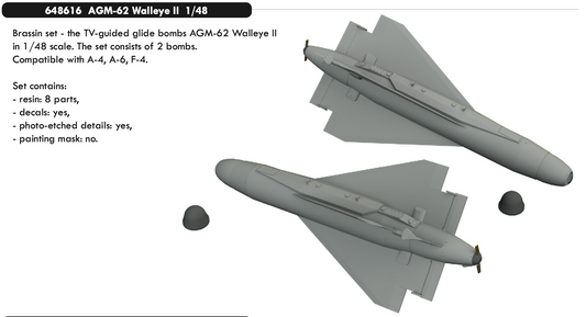 Eduard Brassin ED648616 1:48 AGM-62 Walleye II